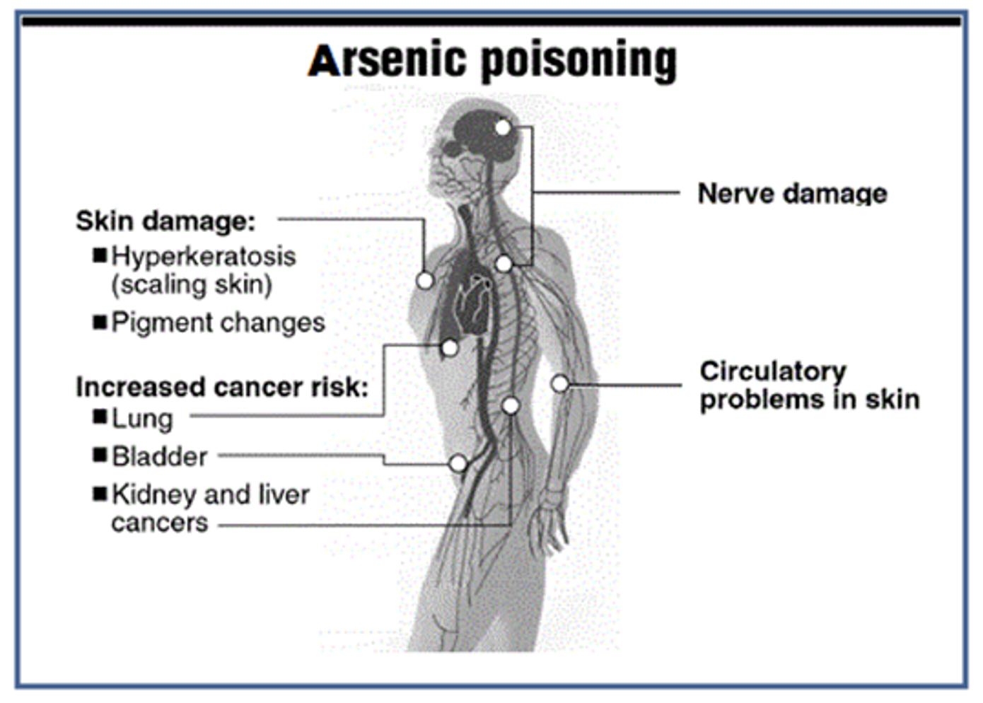 arsenic-poisoning-biopharma-notes