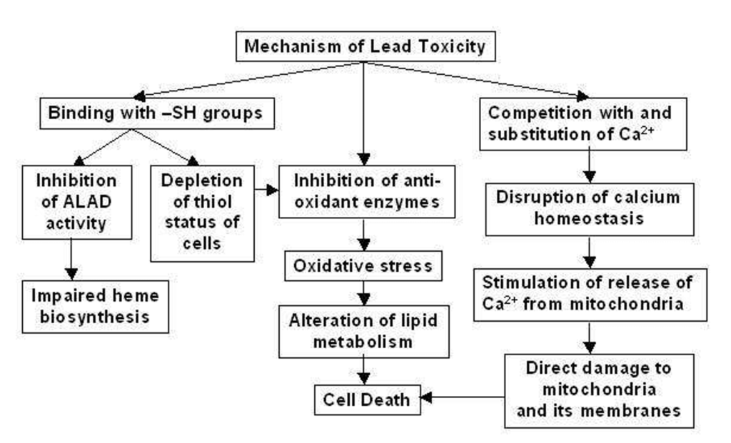 Lead Poisoning BioPharma Notes