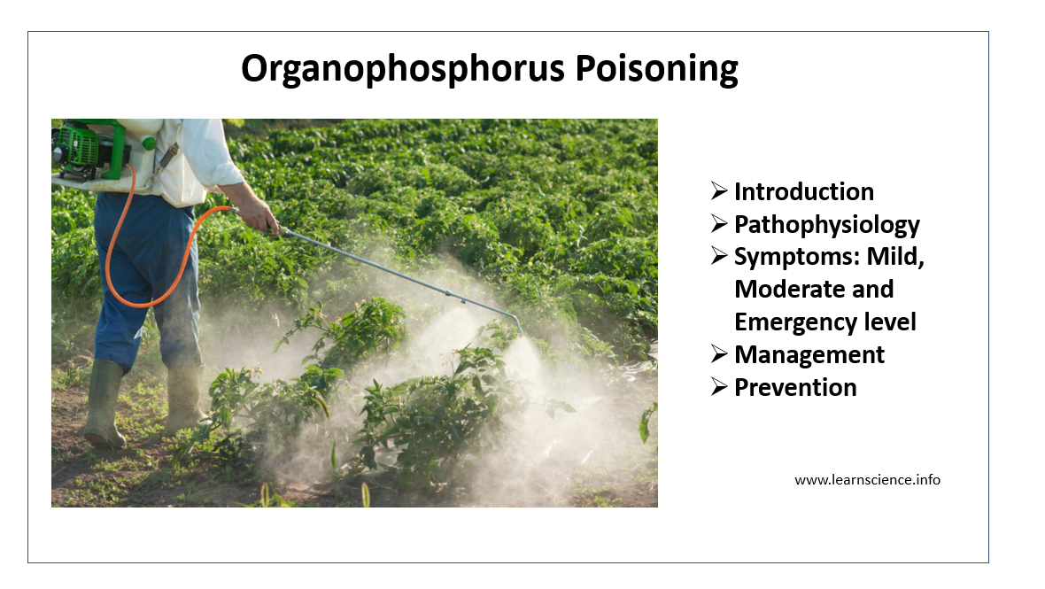 Organophosphate Poisoning - BioPharma Notes