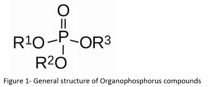 Organophosphate Chemical Structure