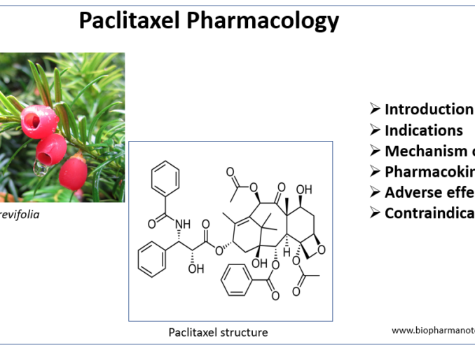 microtubule inhibitor Archives - BioPharma Notes