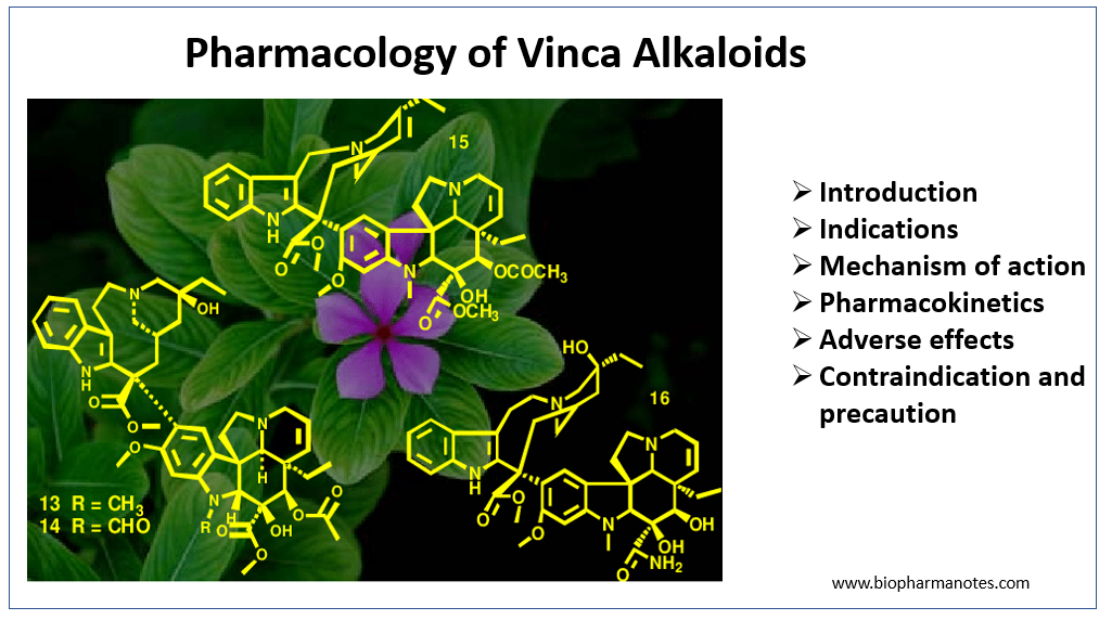Pharmacology of Vinca alkaloids - BioPharma Notes