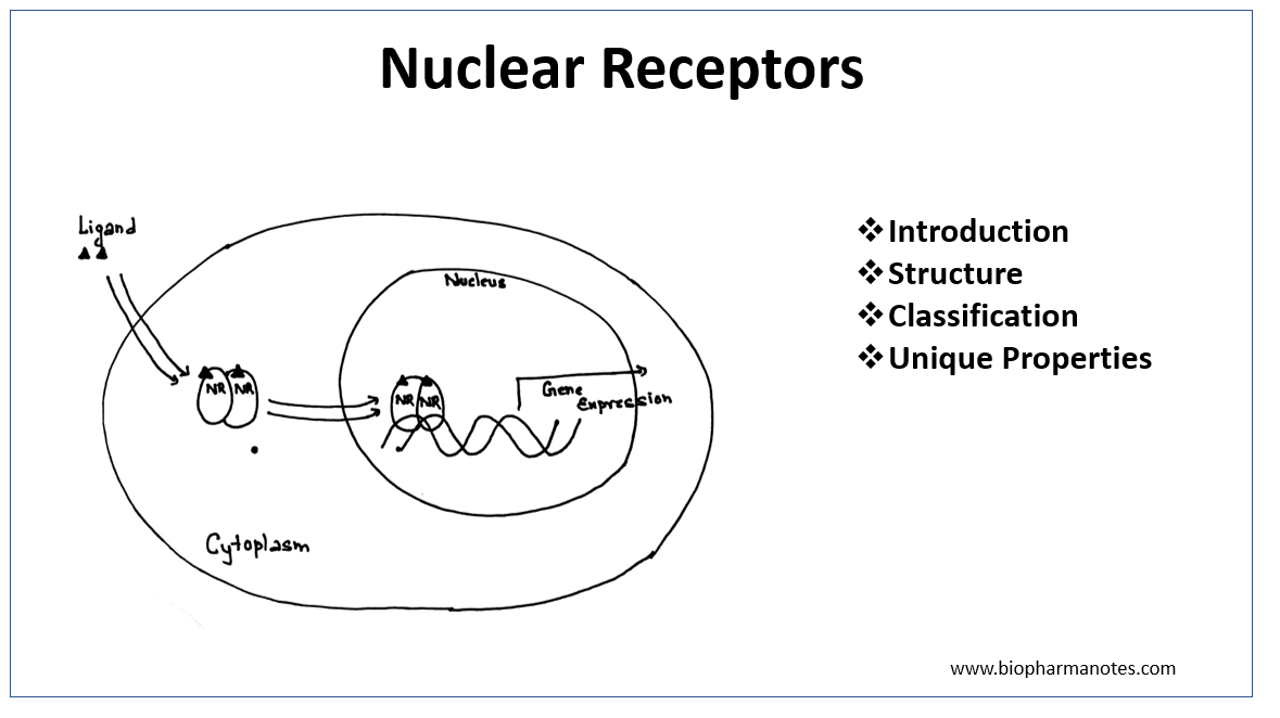 Nuclear Receptors - BioPharma Notes