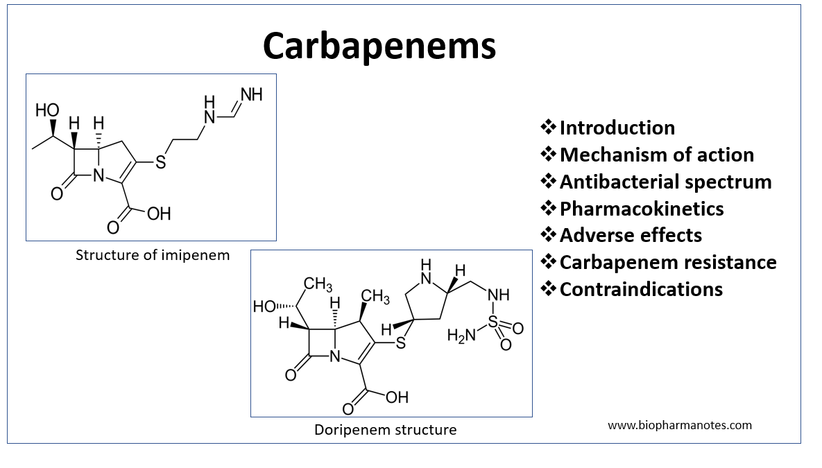 The Mechanism Of NDM-1-catalyzed Carbapenem Hydrolysis Is, 41% OFF