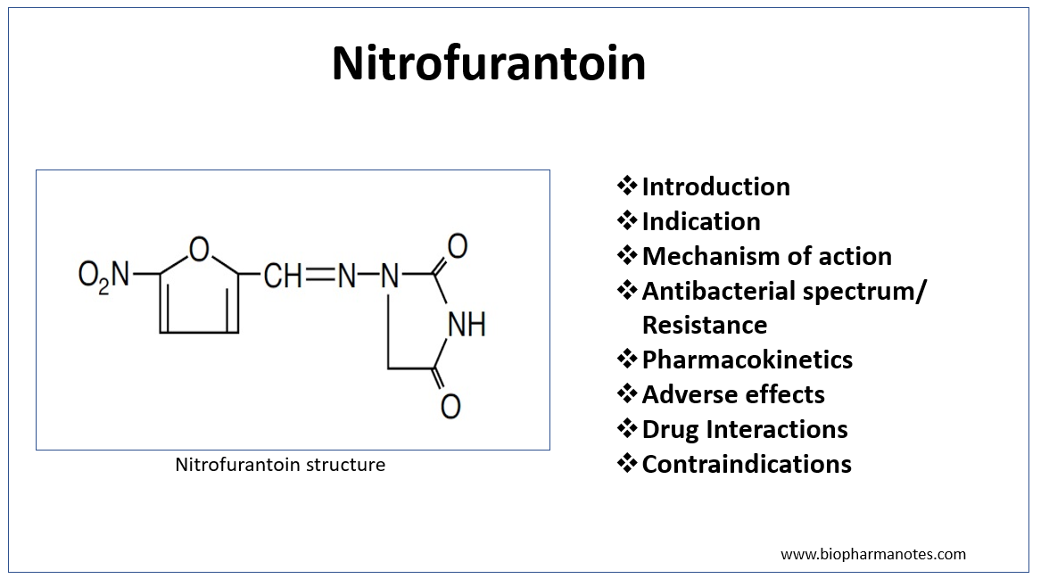 Pharmacology Of Nitrofurantoin Biopharma Notes