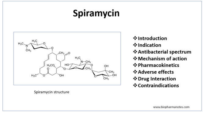 Pharmacology Of Spiromycin Biopharma Notes