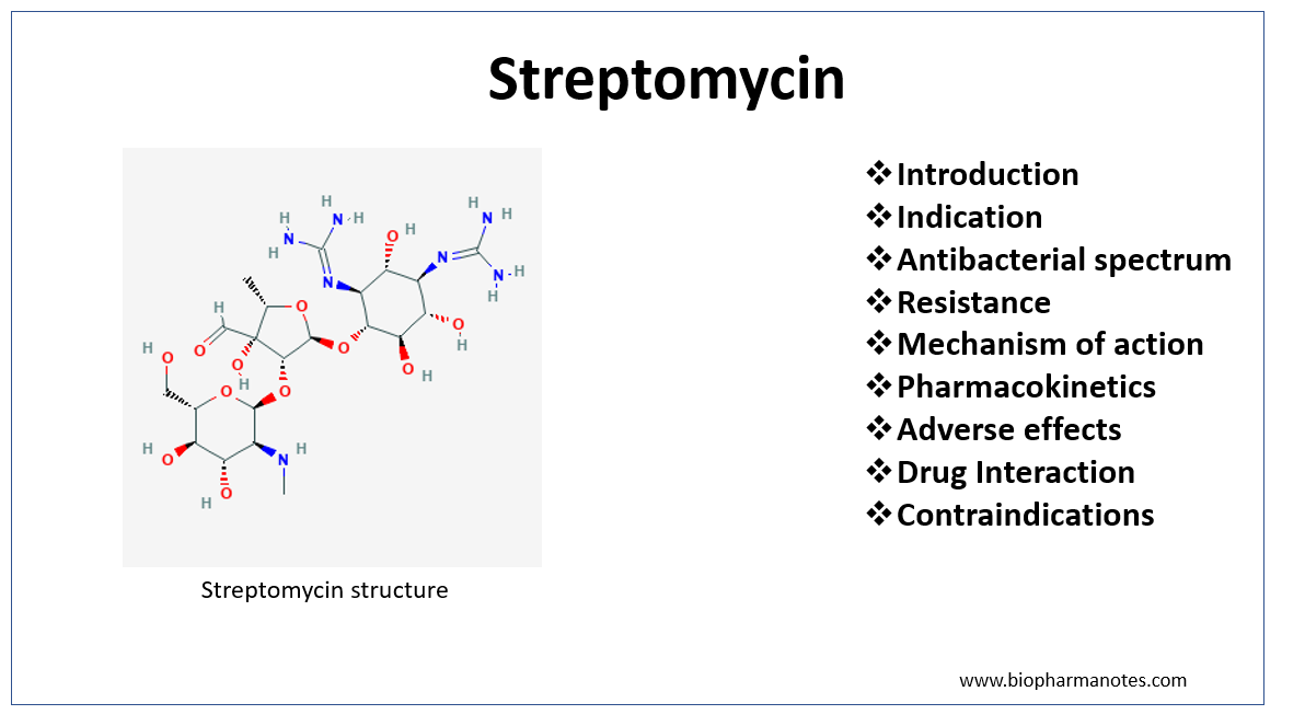 Pharmacology Of Streptomycin Biopharma Notes