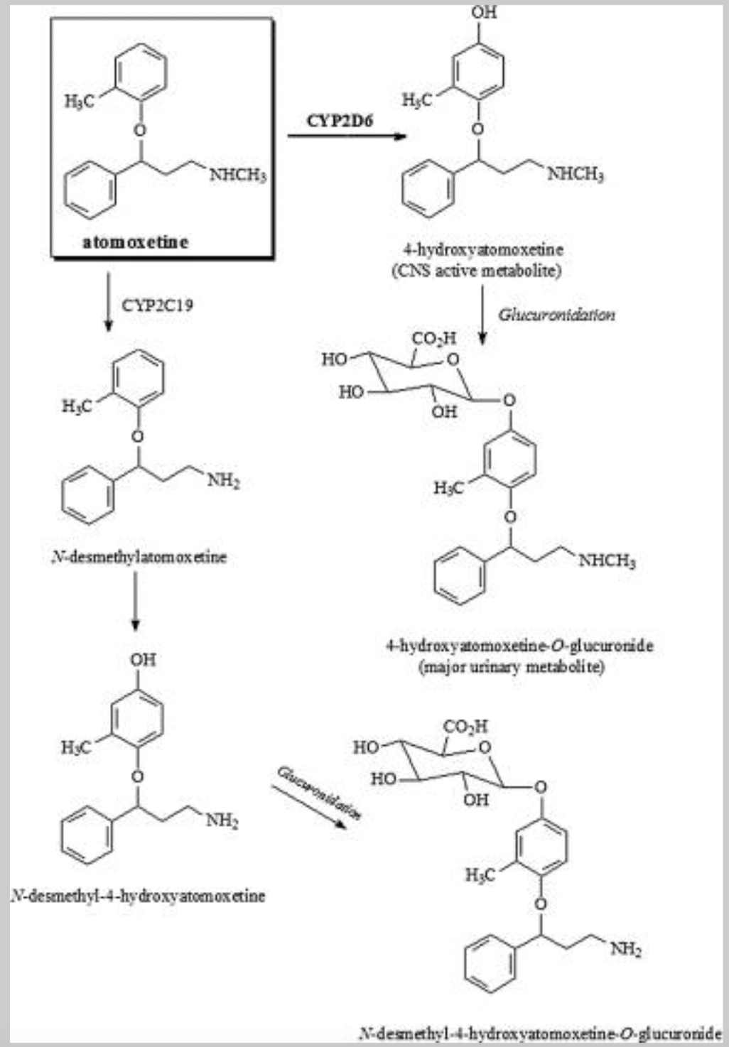 Atomoxetine Biopharma Notes