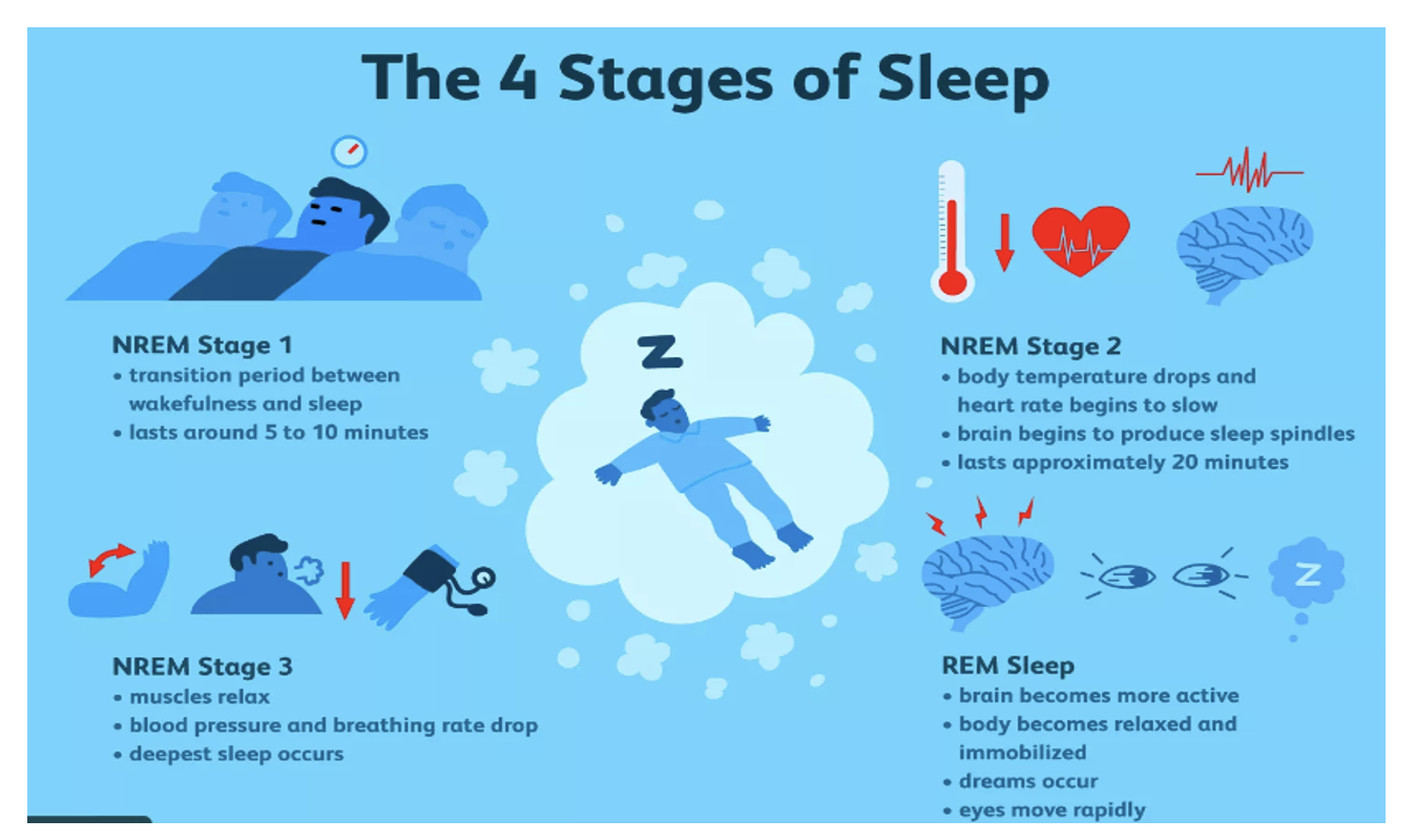 Sleep, It's Types (NREM and REM) and Disorders - BioPharma Notes